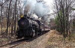 CNJ 113 northbound through the woods at Mar Lin